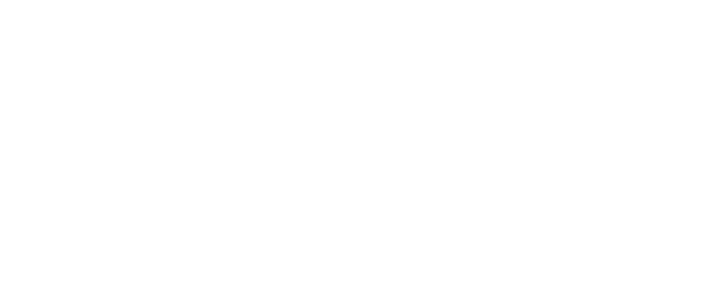 Nokta İşitme